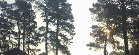 Regional Tournament Day One, Pinehurst : The Truth
